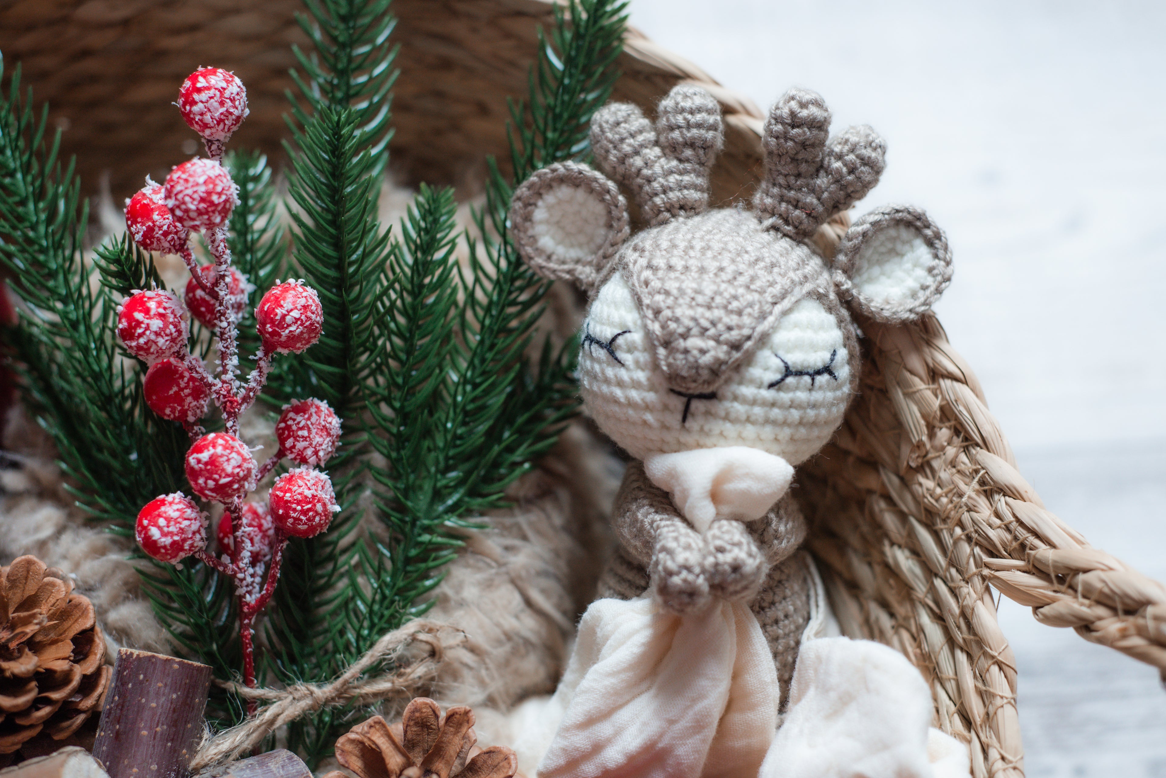 HEJ MERRY Geschenkbox - 15-teiliges Fotorequisiten-Set für Babies von maibejbi